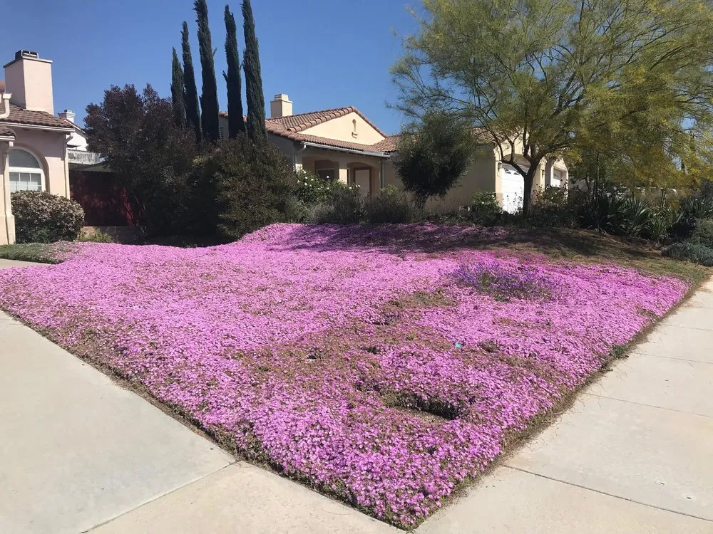 Affordable landscape installation experts serving Santa Ana, CA - Earthco