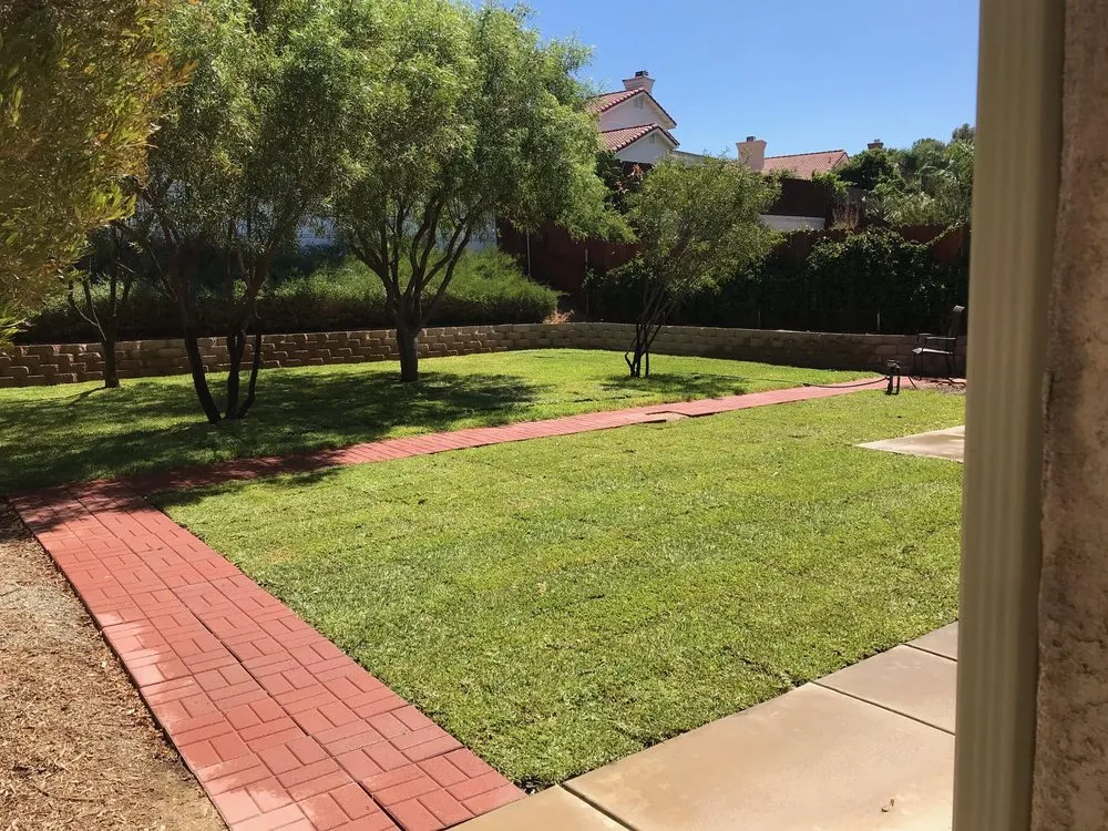 Reliable yard cleanup service for year-round maintenance in Santa Ana, CA by Earthco