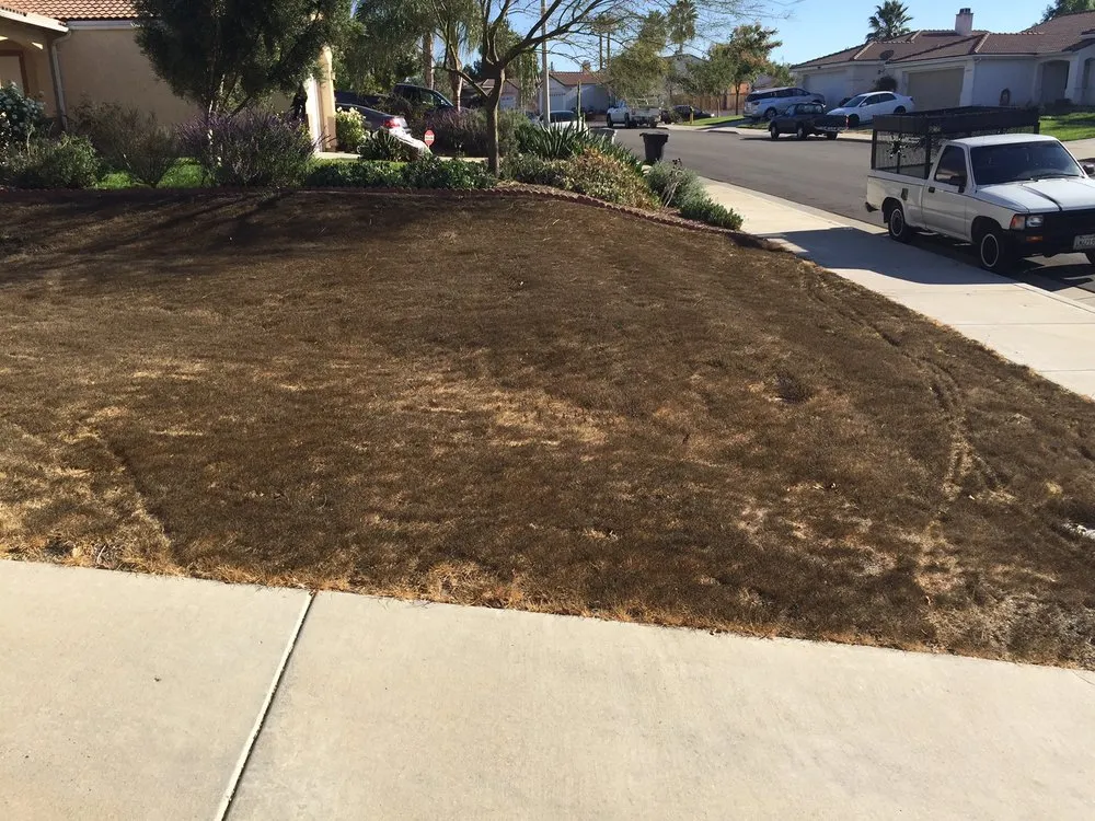 Top-rated yard maintenance in Santa Ana, CA - Earthco