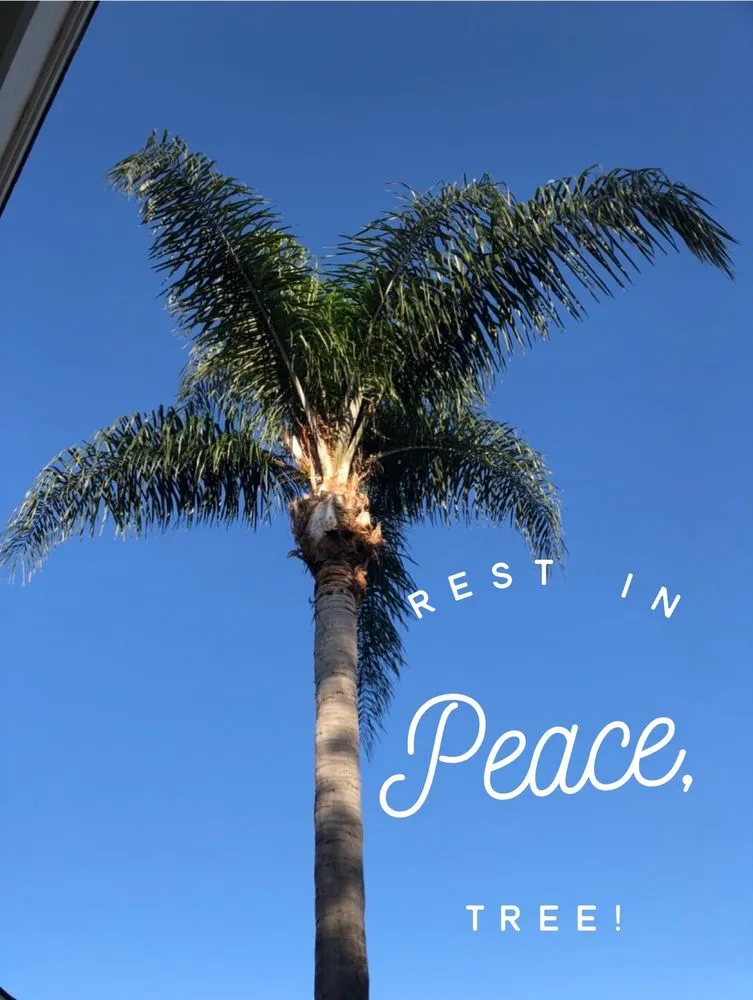 Affordable yard maintenance in Santa Ana, CA - Earthco