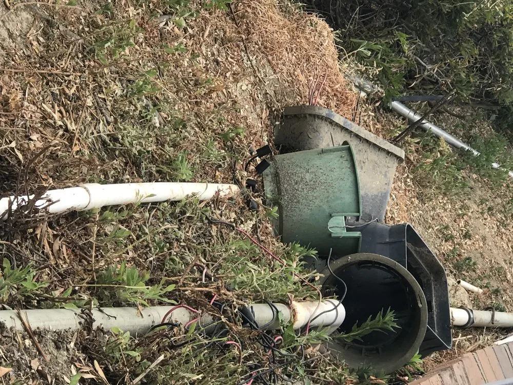 Top-rated yard maintenance in Santa Ana, CA by Earthco