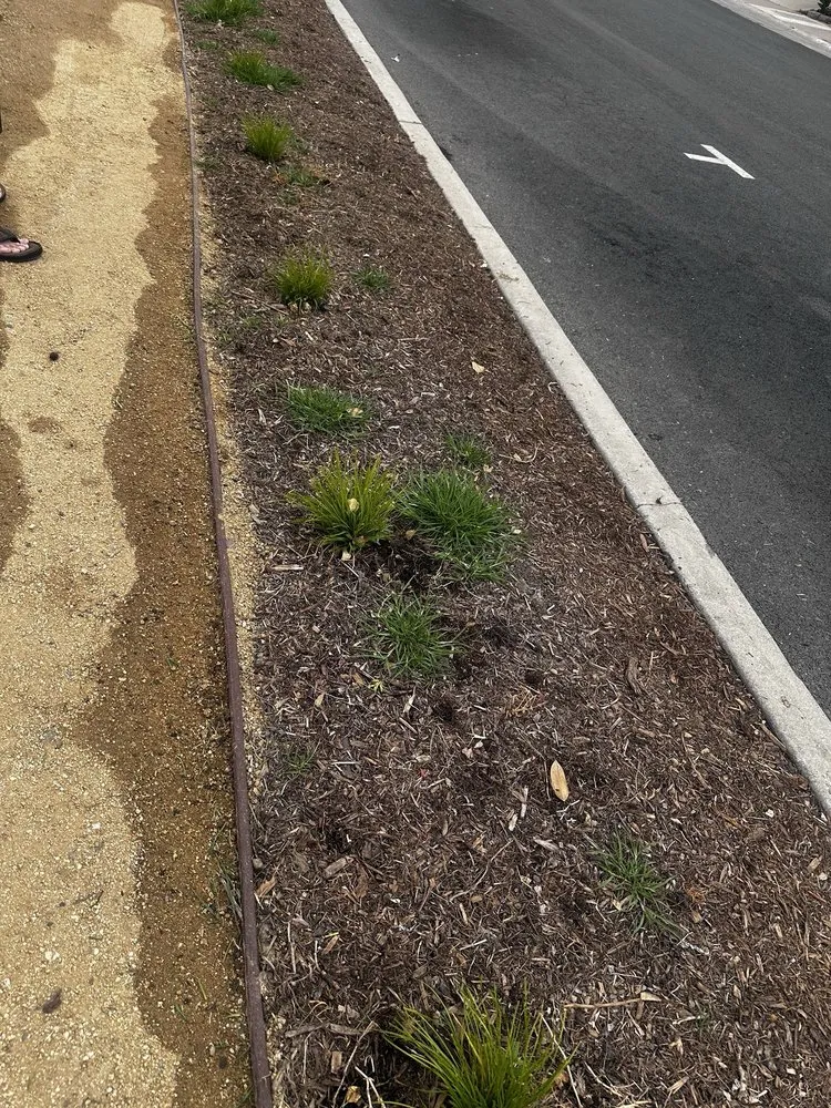 Reliable outdoor landscaping experts serving Santa Ana, CA - Earthco