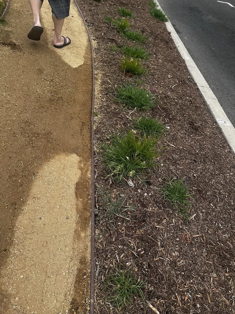 Custom lawn mowing service for homes in Santa Ana, CA by Earthco