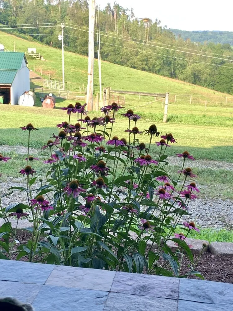 Trusted landscape design experts serving Indiana, PA - EarthCraft Landscaping