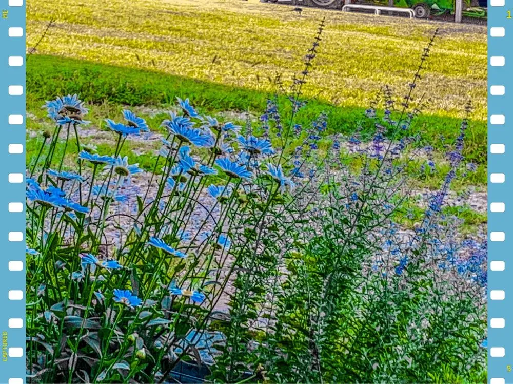 Professional garden landscaping in Indiana, PA by EarthCraft Landscaping