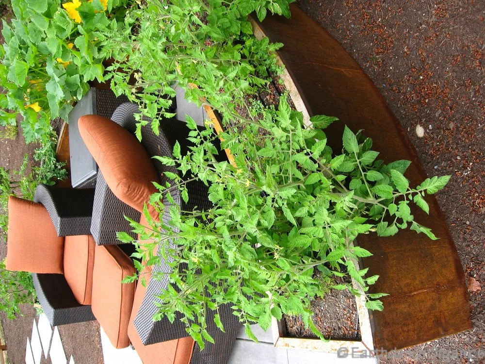 Reliable landscaping services in Tacoma, WA by Earthdance Organics