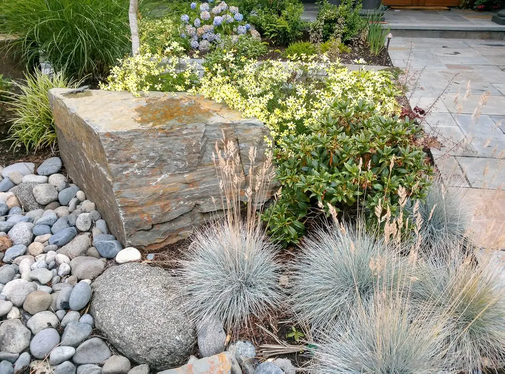 Expert landscaping services in Tacoma, WA - Earthdance Organics