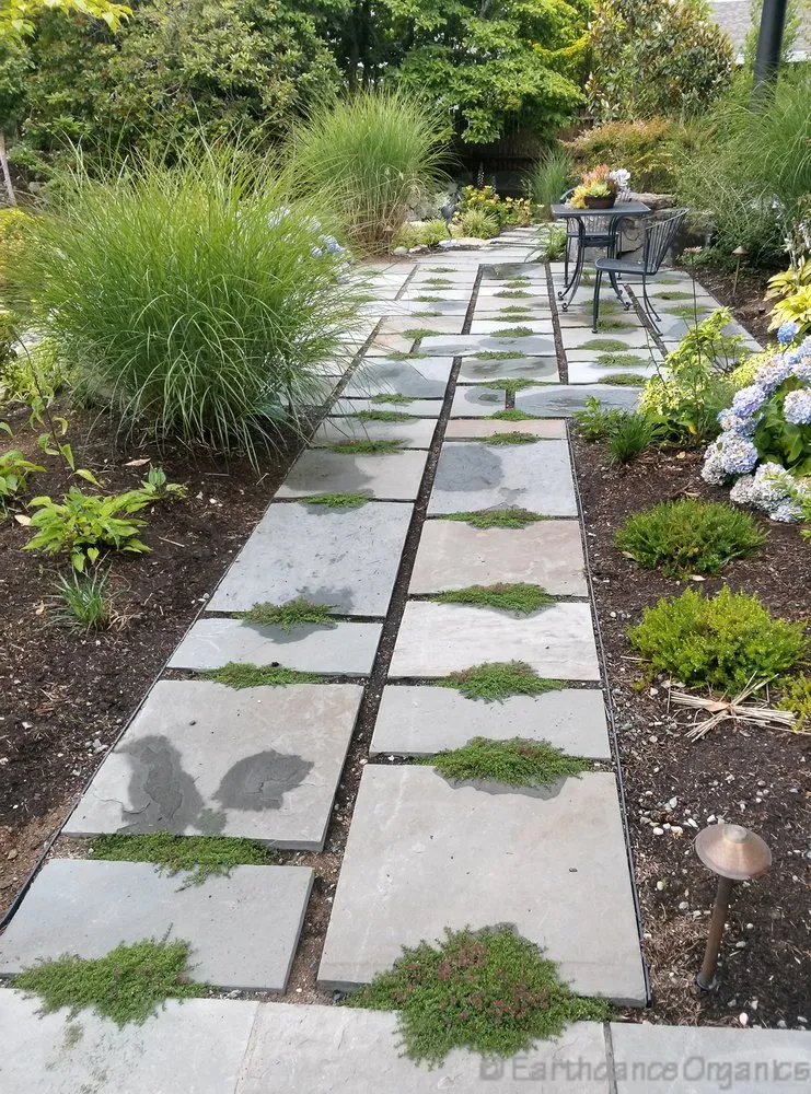 Professional landscape installation in Tacoma, WA - Earthdance Organics