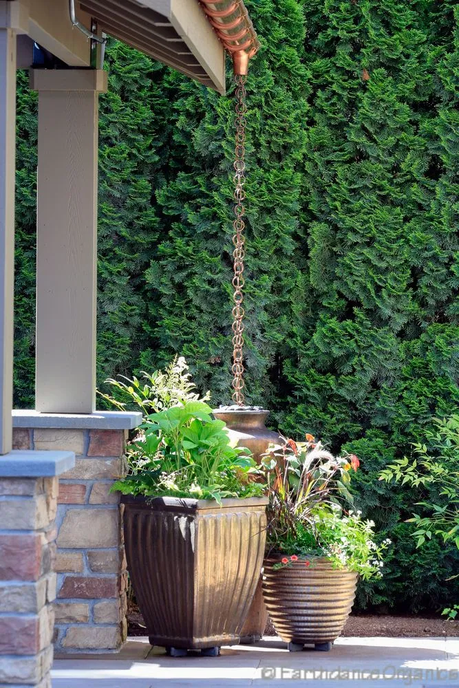 Trusted landscaping services in Tacoma, WA by Earthdance Organics