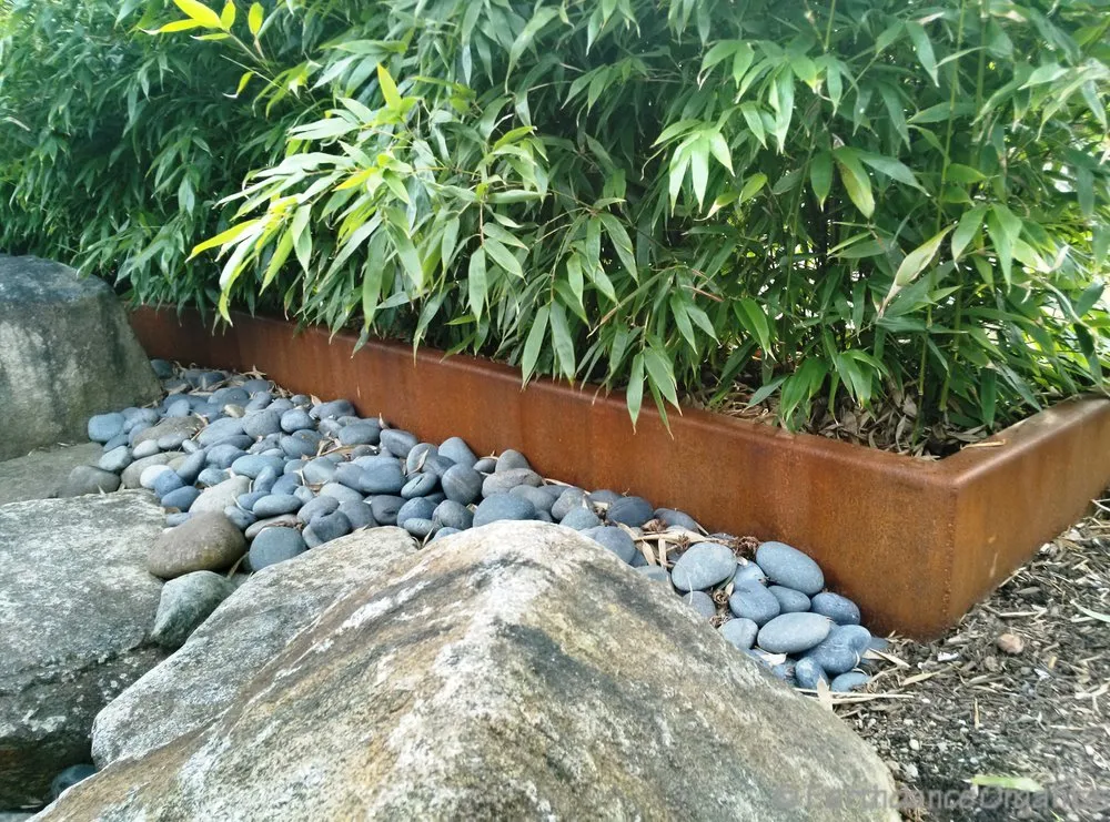 Top-rated landscaping services for outdoor upgrades across Tacoma, WA - Earthdance Organics
