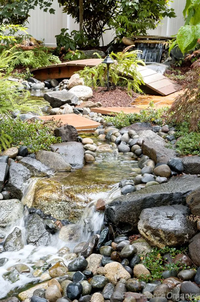 Trusted yard cleanup service near you in Tacoma, WA by Earthdance Organics