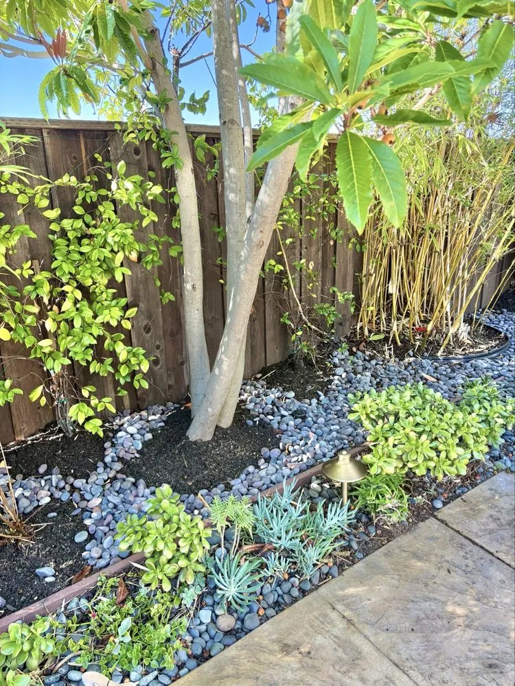 Professional lawn mowing service with custom design across San Jose, CA - EarthEye Landscape