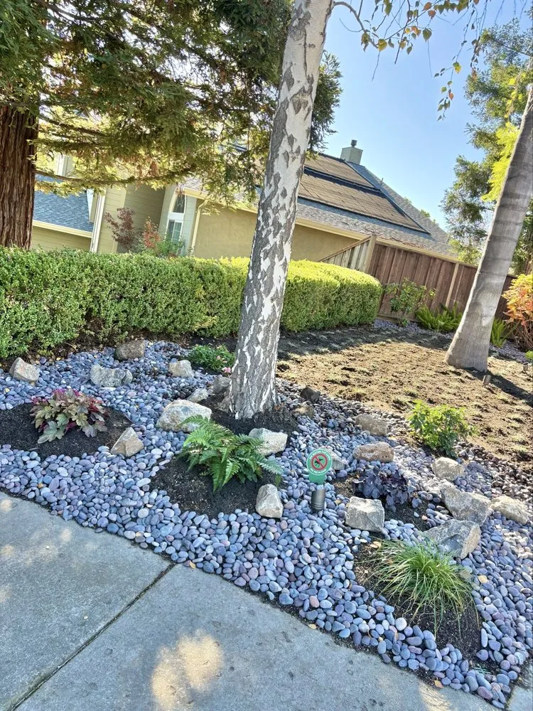 Local lawn mowing service in San Jose, CA by EarthEye Landscape