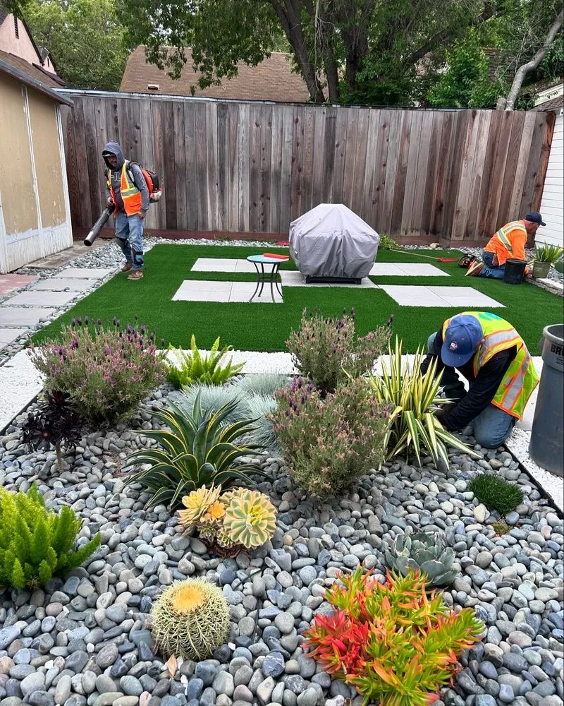 Professional yard cleanup service in San Jose, CA - EarthEye Landscape