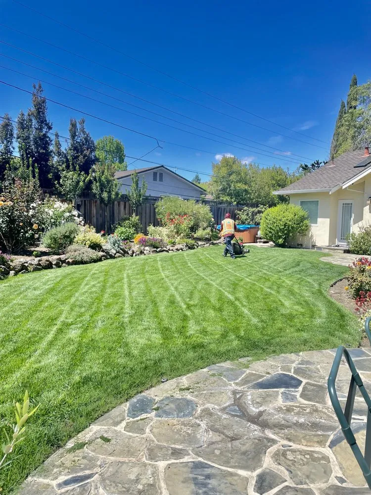 Professional outdoor landscaping experts serving San Jose, CA - EarthEye Landscape