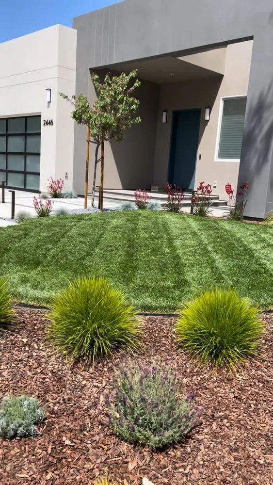Professional landscape design in San Jose, CA - EarthEye Landscape