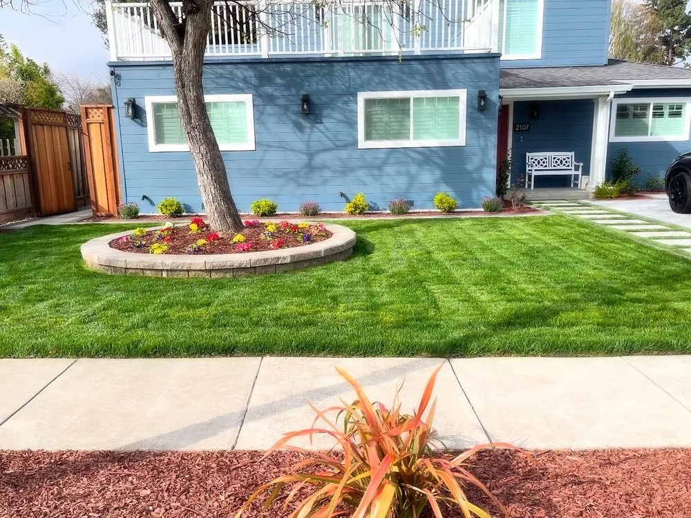 Custom yard cleanup service in San Jose, CA by EarthEye Landscape