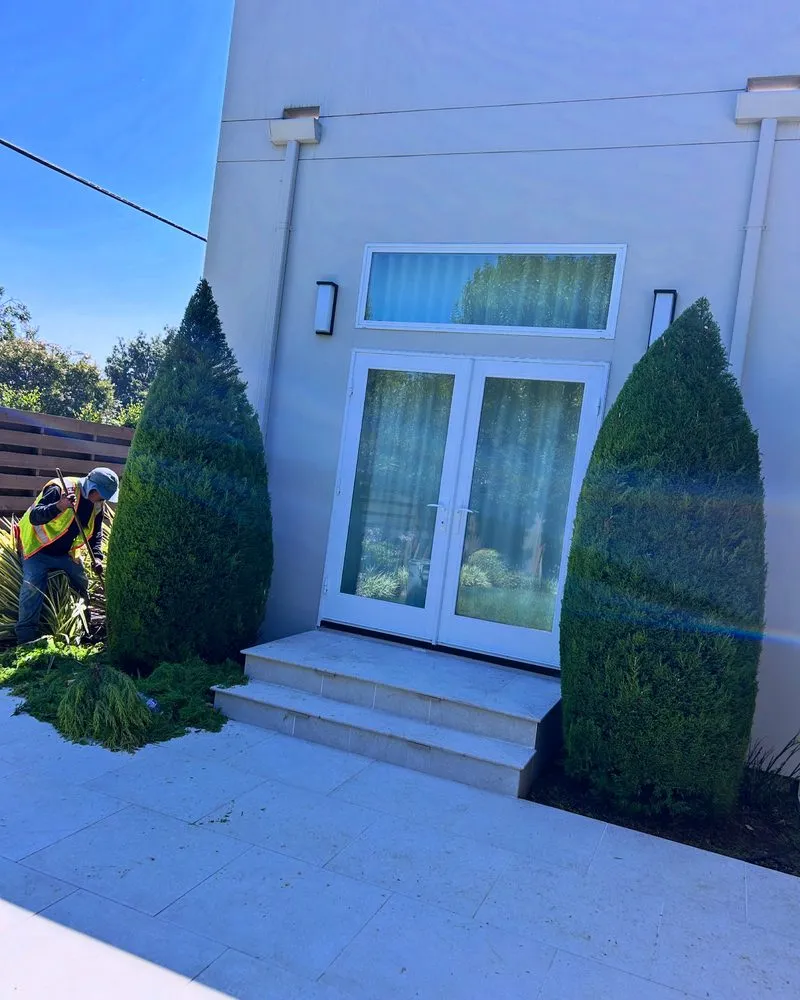 Trusted residential landscaping for beautiful yards in San Jose, CA by EarthEye Landscape