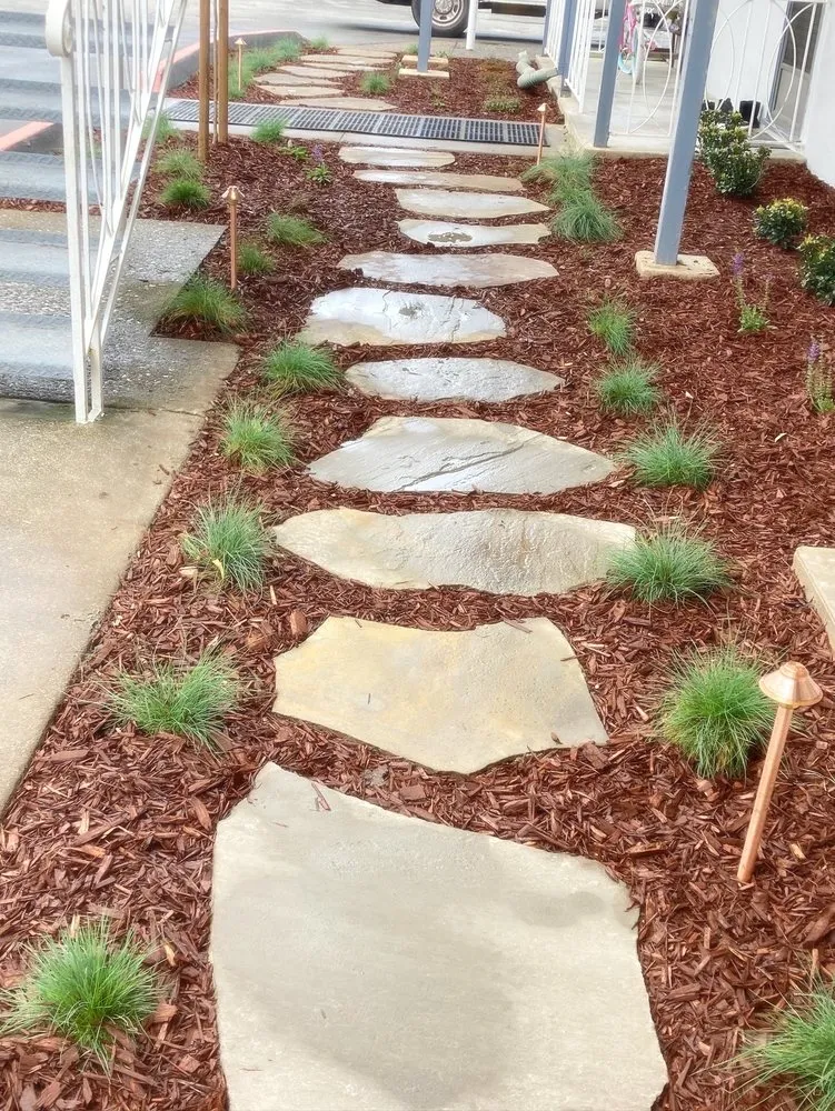 Professional yard cleanup service in San Jose, CA - EarthEye Landscape