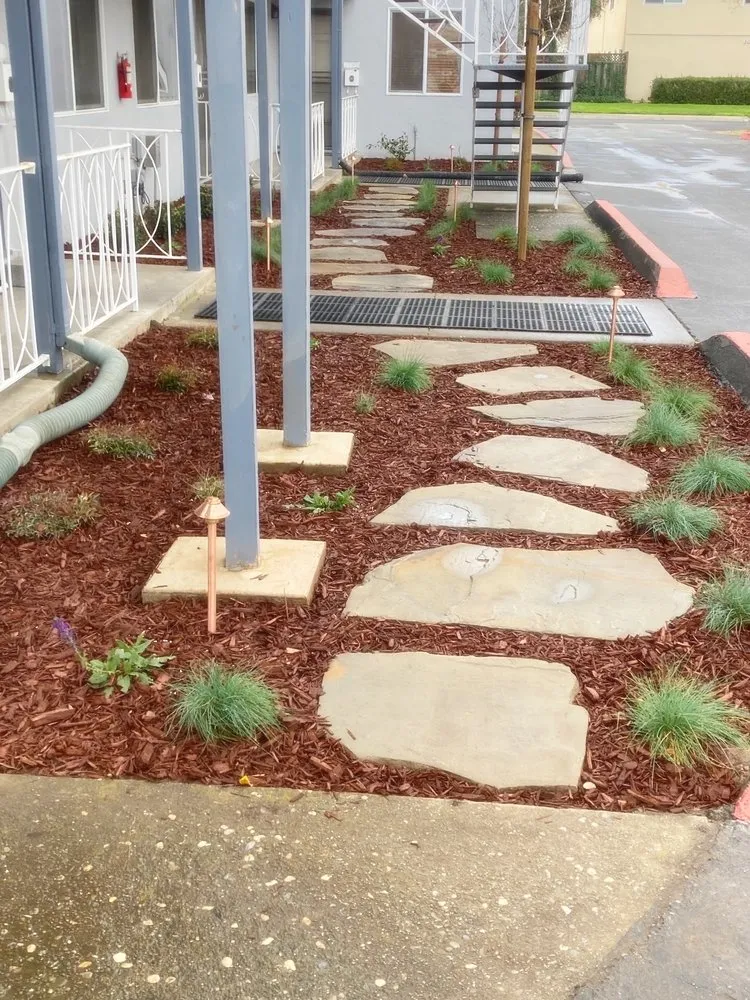 Professional yard maintenance for year-round maintenance in San Jose, CA by EarthEye Landscape