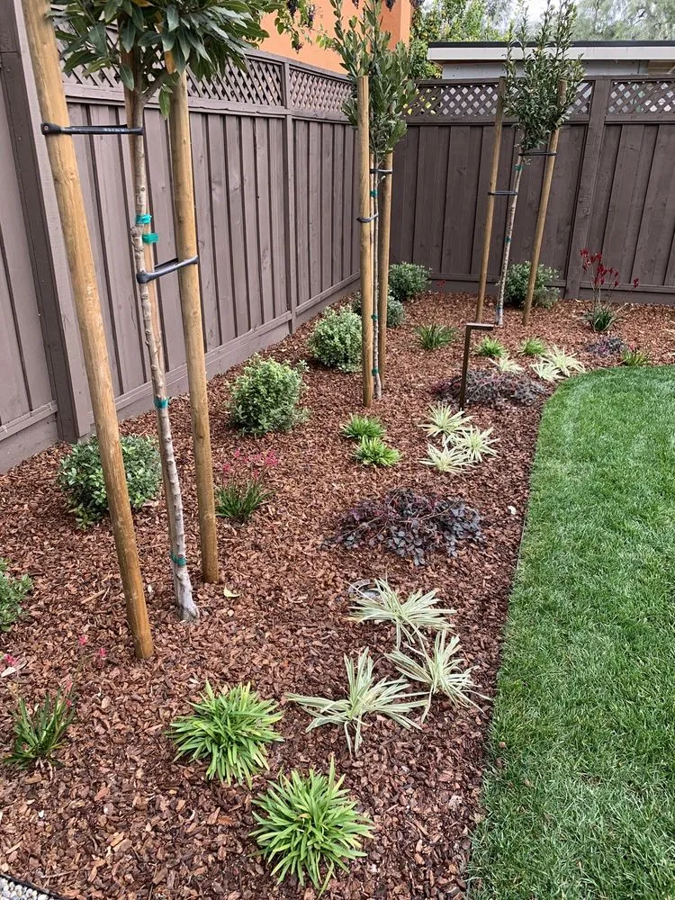 Professional landscape design in San Jose, CA - EarthEye Landscape