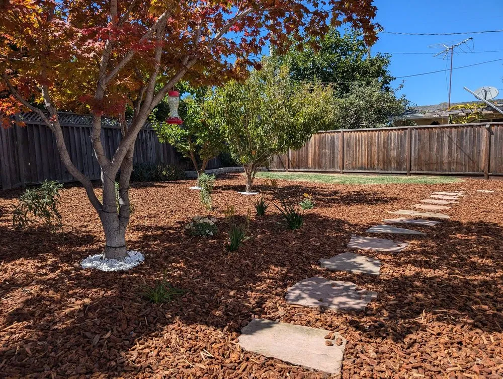 Top-rated landscape design in San Jose, CA - EarthEye Landscape