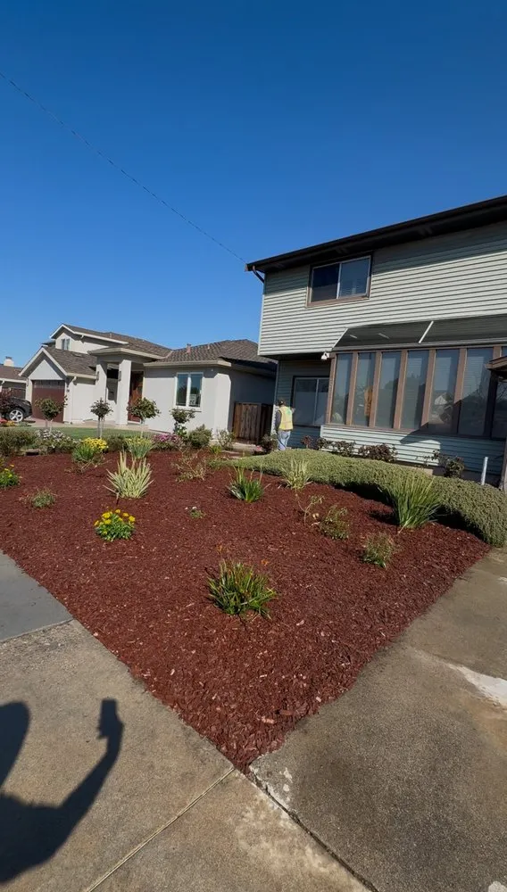 Affordable landscape installation for homes in San Jose, CA by EarthEye Landscape