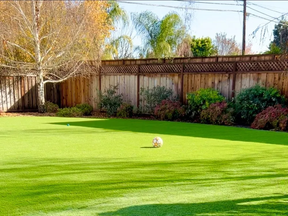 Trusted lawn care service near you across San Jose, CA - EarthEye Landscape