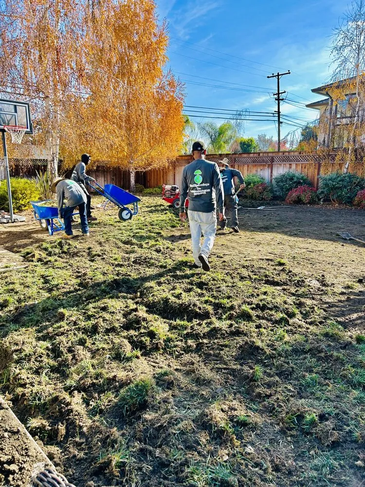 Professional landscape installation for residential properties across San Jose, CA - EarthEye Landscape