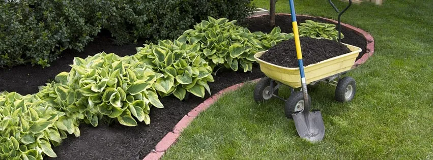 Expert yard cleanup service for beautiful yards across Binghamton, NY - Earthguard