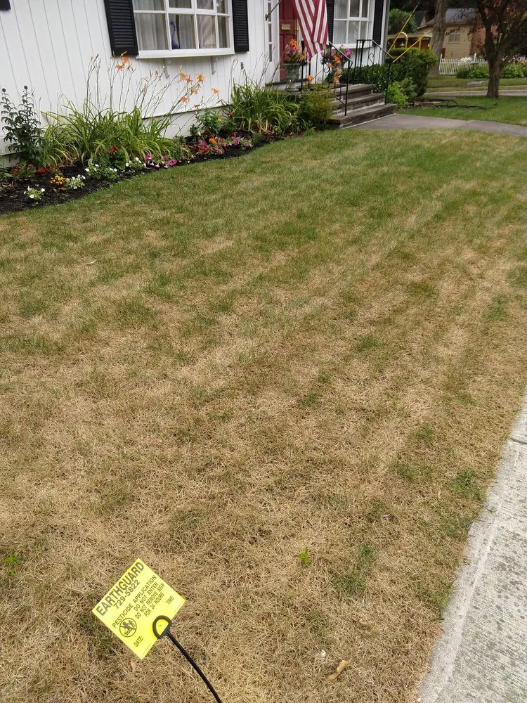 Top-rated yard cleanup service experts serving Binghamton, NY - Earthguard