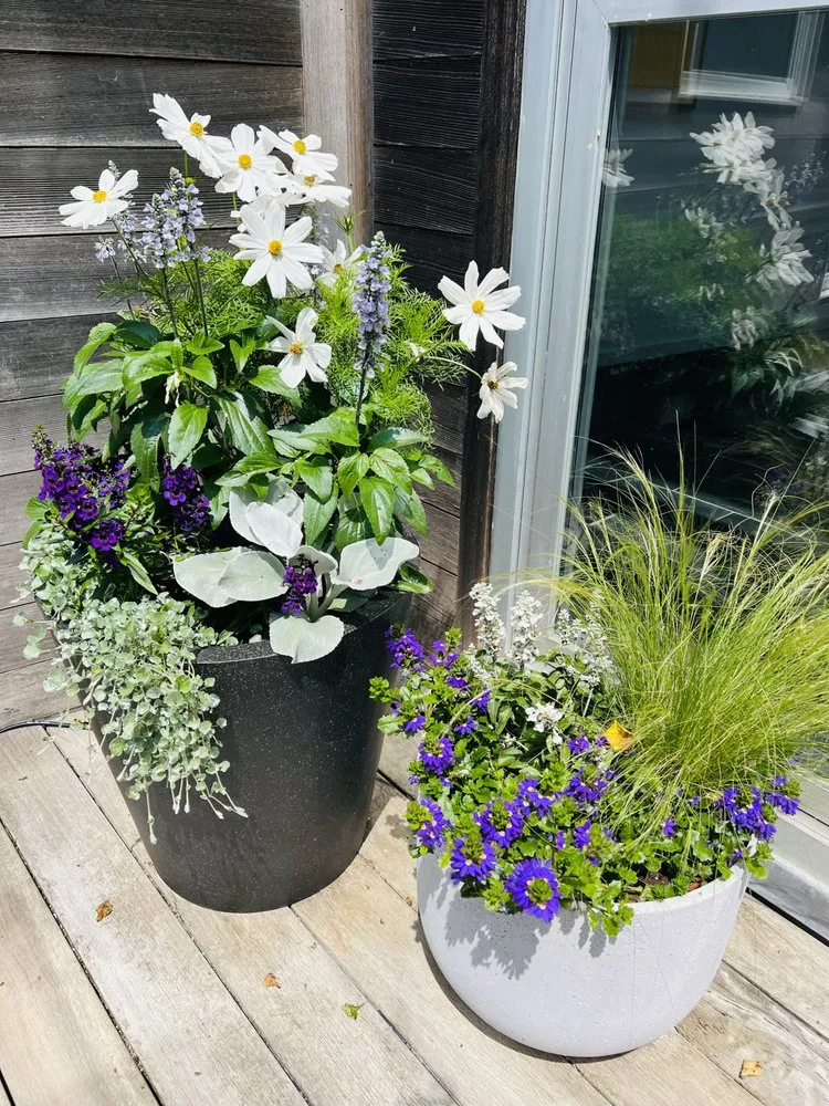 Affordable lawn mowing service experts serving Clifton, NJ - Earthify Landscapes