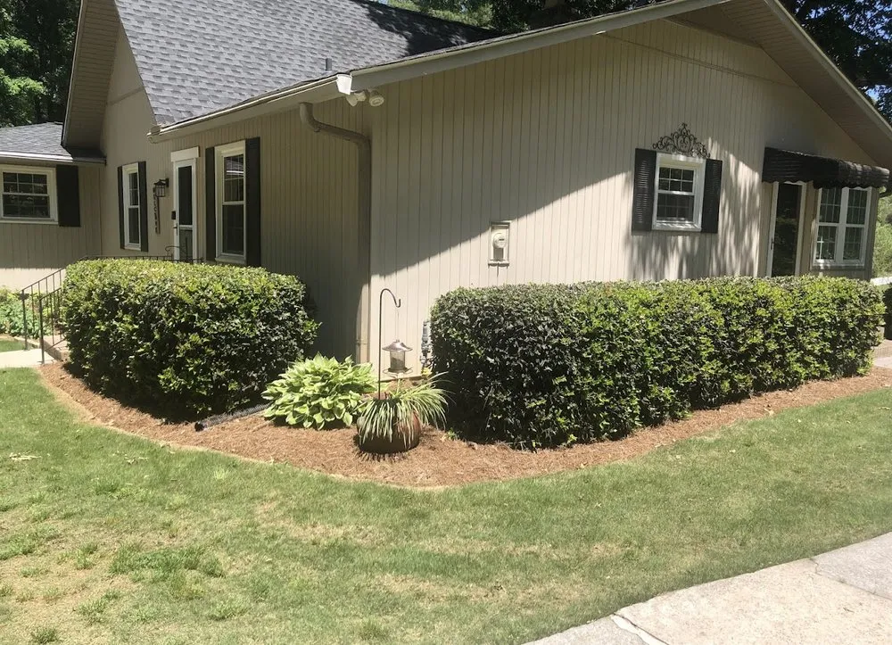 Reliable lawn care service in Gulfport, MS by Earthing