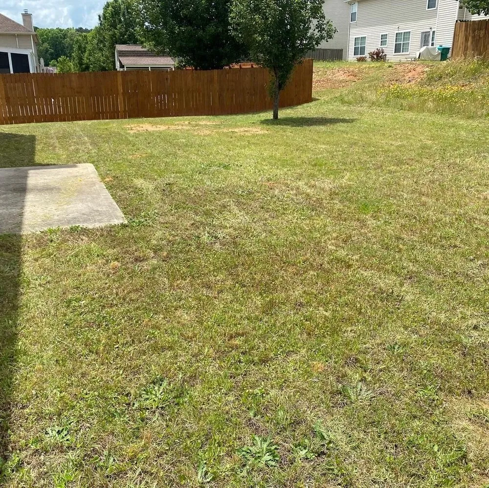 Local lawn care service in Hampton, GA - Earthling’s Yard Services