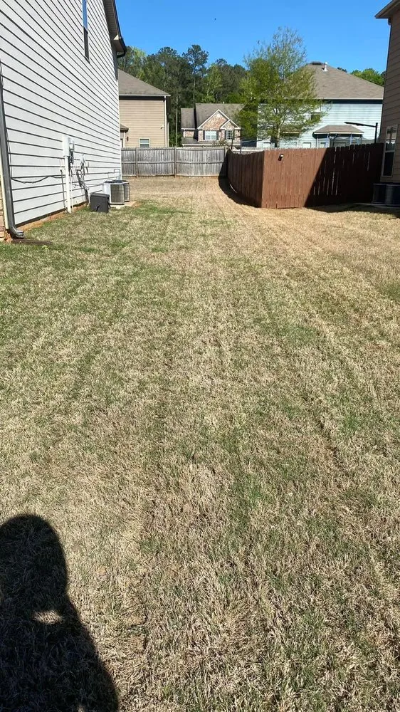 Professional lawn care service for homes across Hampton, GA - Earthling’s Yard Services