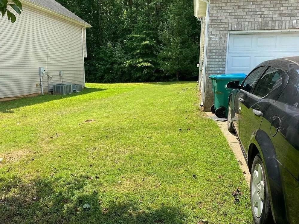 Expert yard cleanup service for residential properties across Hampton, GA - Earthling’s Yard Services
