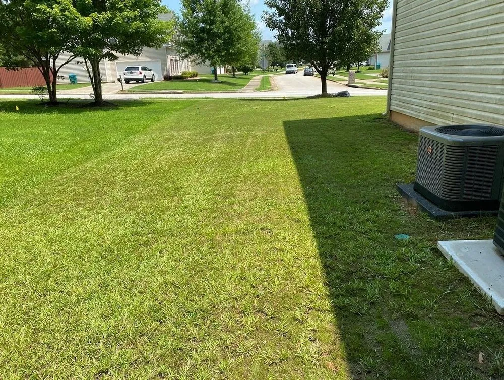 Expert yard cleanup service for outdoor upgrades across Hampton, GA - Earthling’s Yard Services