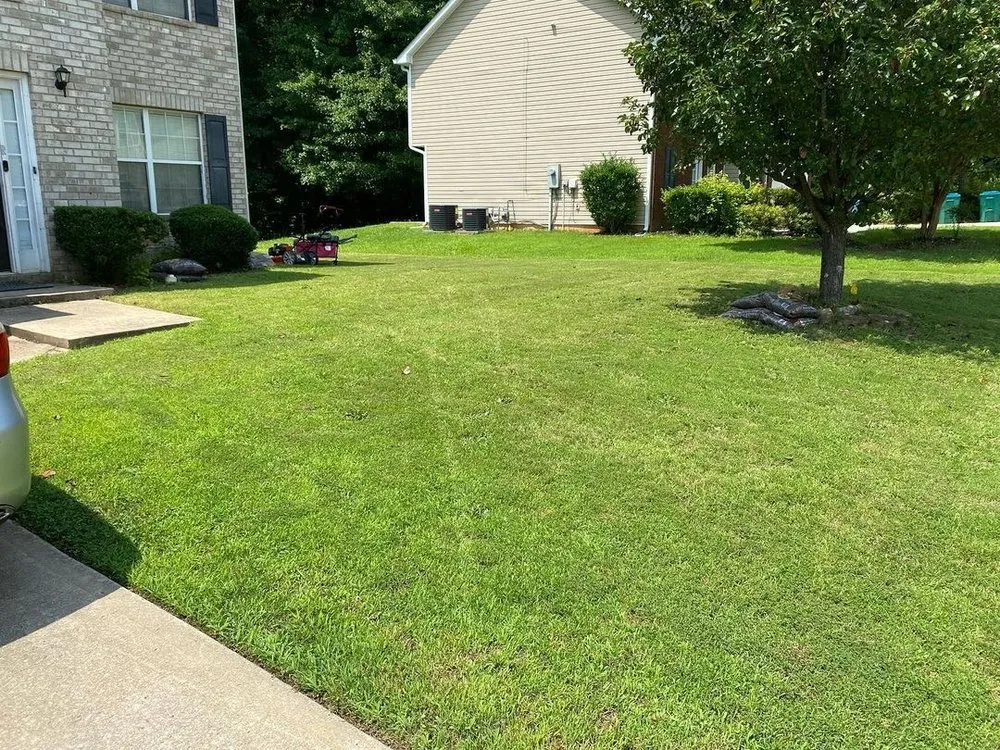 Reliable landscaping services near you in Hampton, GA by Earthling’s Yard Services