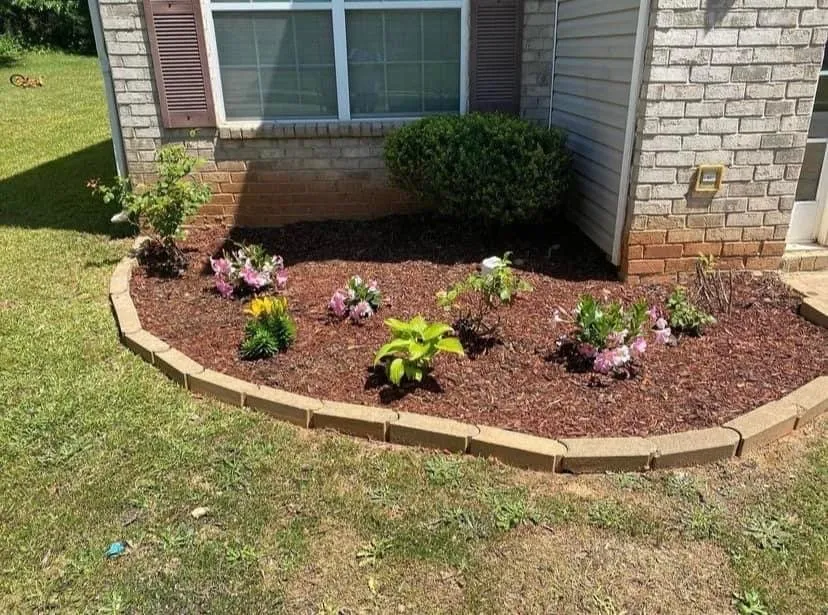 Top-rated lawn care service for beautiful yards across Hampton, GA - Earthling’s Yard Services