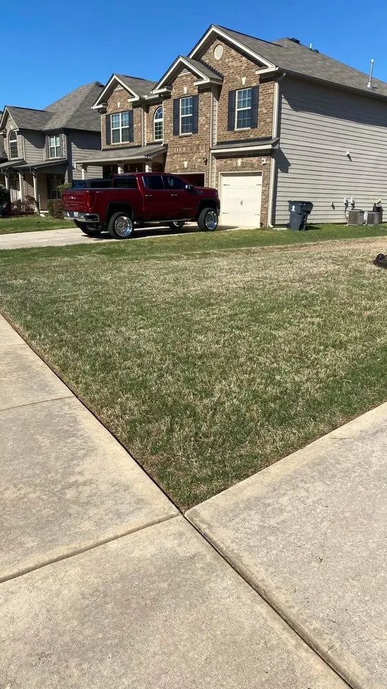 Trusted yard cleanup service experts serving Hampton, GA - Earthling’s Yard Services