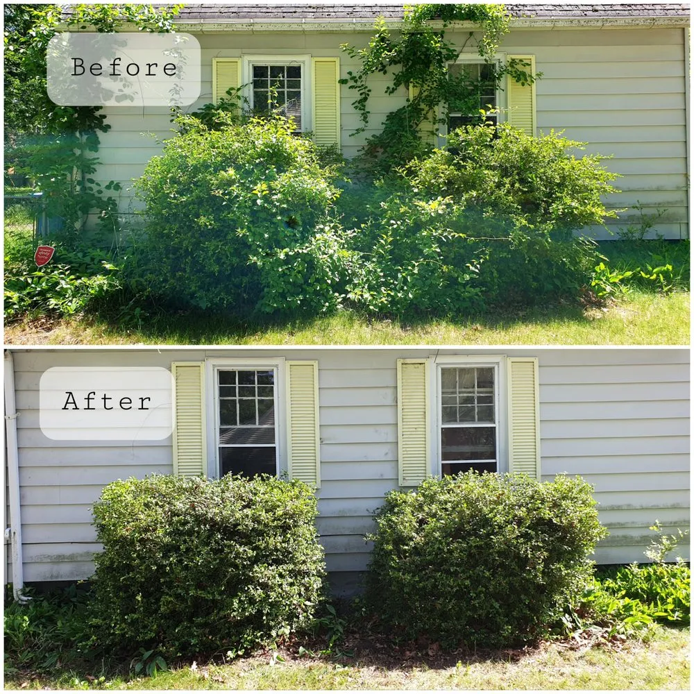 Top-rated landscape installation in Grand Rapids, MI by Earthly Delights Gardening Services