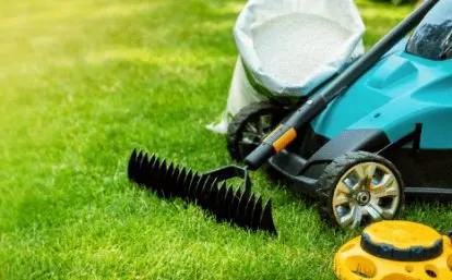 Reliable yard cleanup service in Merced, CA by Earthly Gardens Lawn Service