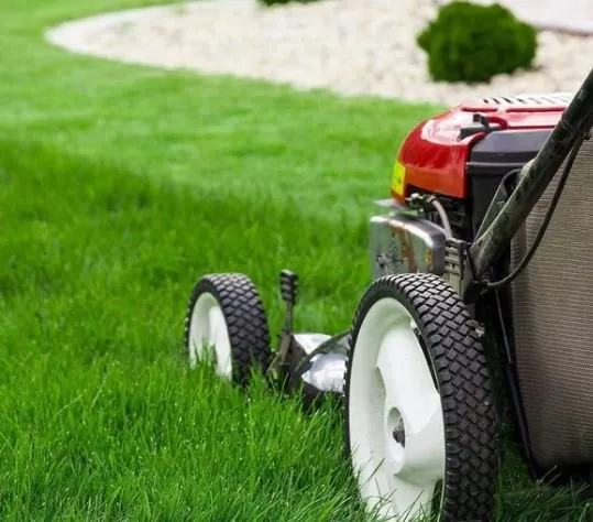 Custom landscaping services in Merced, CA - Earthly Gardens Lawn Service