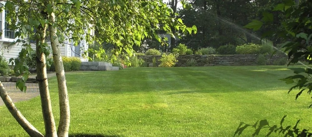 Local landscape installation for year-round maintenance in Austin, TX by Earthly Lawn Care and Landscaping Service