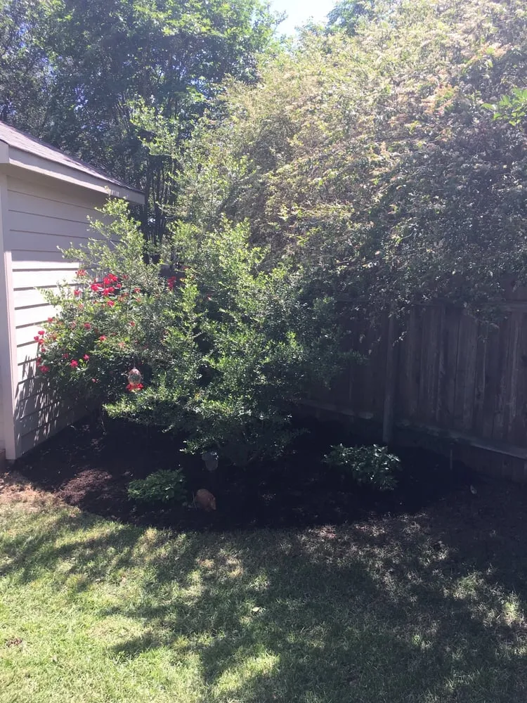 Affordable yard maintenance experts serving Austin, TX - Earthly Lawn Care and Landscaping Service