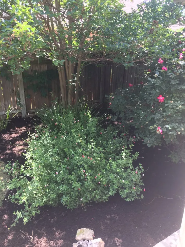 Reliable landscape installation for residential properties in Austin, TX by Earthly Lawn Care and Landscaping Service