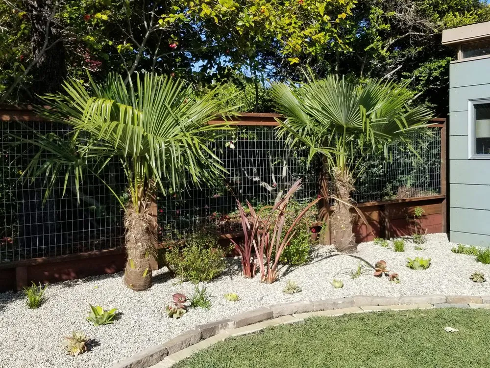 Trusted yard cleanup service in Oakland, CA by Earthly Sites Earth-Wise Garden Design, Build & Care