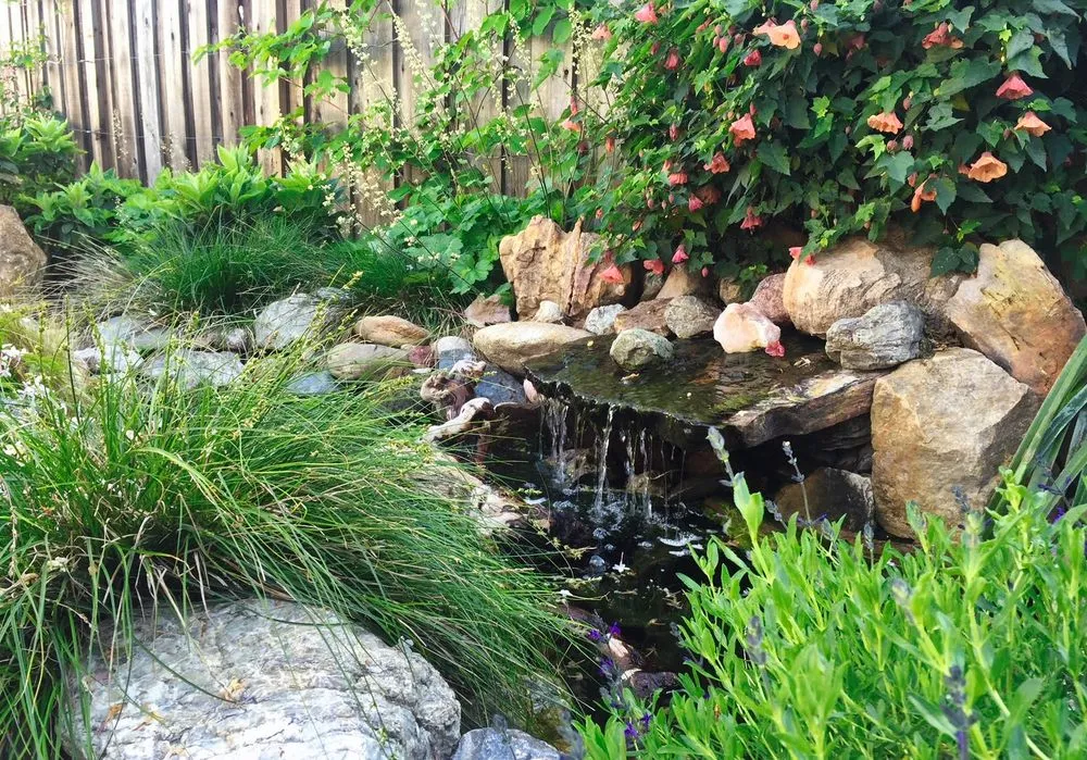 Professional lawn care service for residential properties across Oakland, CA - Earthly Sites Earth-Wise Garden Design, Build & Care