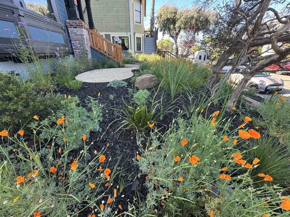Custom yard cleanup service experts serving Oakland, CA - Earthly Sites Earth-Wise Garden Design, Build & Care