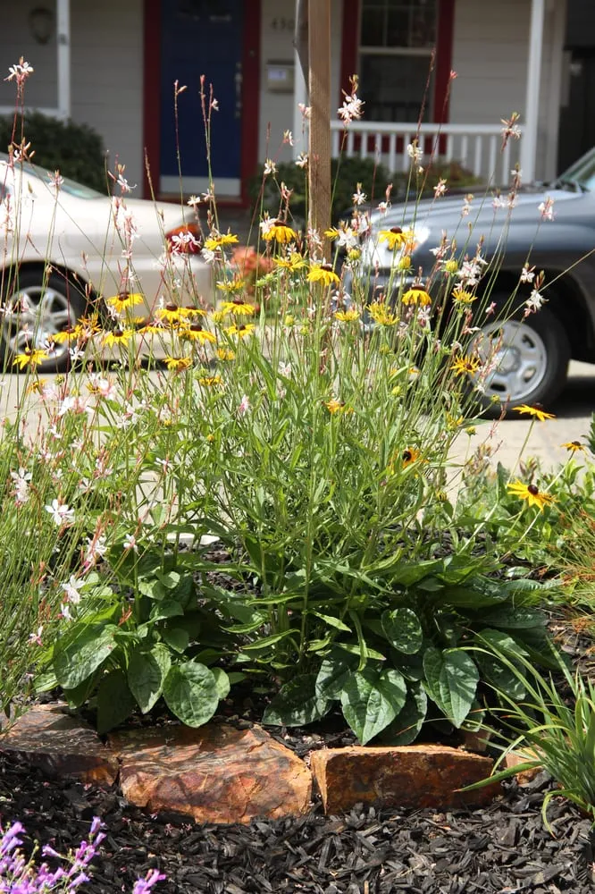 Professional outdoor landscaping in Oakland, CA - Earthly Sites Earth-Wise Garden Design, Build & Care